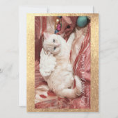 Kitty Angel for Christmas カード (正面)