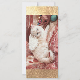 Kitty Angel for Christmas カード