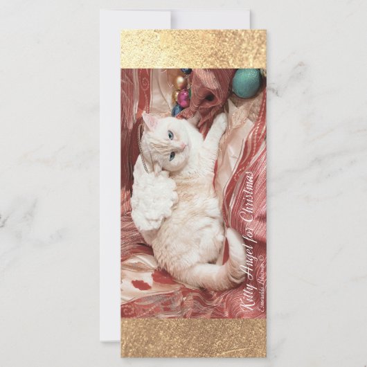 Kitty Angel for Christmas カード (正面)