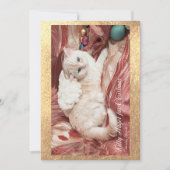 Kitty Angel For Christmas サンキューカード (正面)