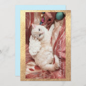 Kitty Angel for Christmas ノートカード (正面/裏面)