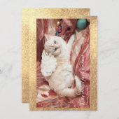 Kitty Angel for Christmas ノートカード (正面/裏面)