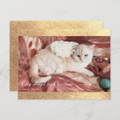 Kitty Angel for Christmas ポストカード (正面/裏面)