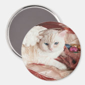 Kitty Angel for Christmas マグネット (正面/裏面)