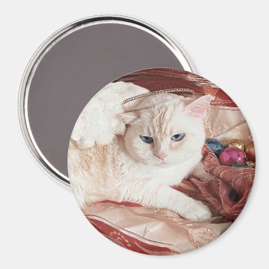 Kitty Angel for Christmas マグネット (正面/裏面)