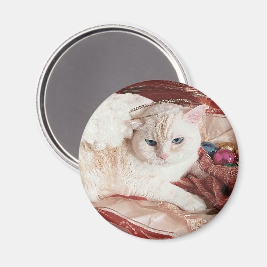Kitty Angel for Christmas マグネット (正面/裏面)