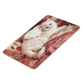 Kitty Angel for Christmas マグネット (左側)