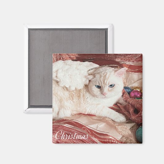 Kitty Angel for Christmas マグネット (正面/裏面)