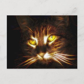 Kitty Catのポストカード ポストカード