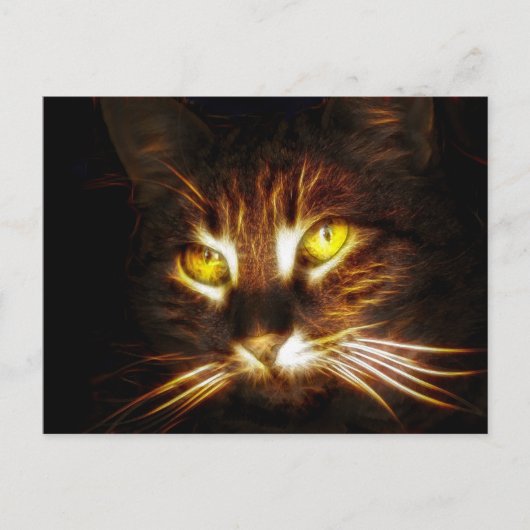 Kitty Catのポストカード ポストカード (正面)