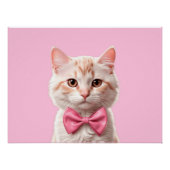 Kitty Cat – オス縦横 ポスター (正面)