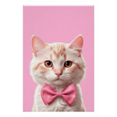 Kitty Cat – オス ポスター (正面)