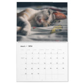 Kitty Cat Collection Calendar （大） カレンダー (3月 2026)