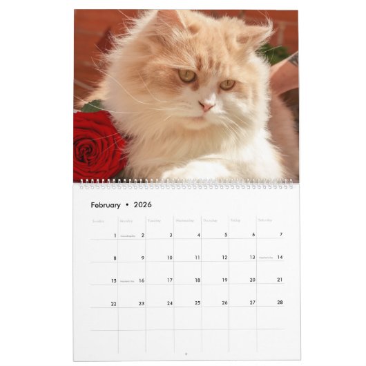 Kitty Cat Collection Calendar （大） カレンダー (2月 2026)