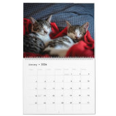 Kitty Cat Collection Calendar （大） カレンダー (1月 2026)