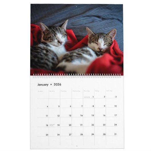 Kitty Cat Collection Calendar (大) カレンダー (1月 2026)
