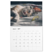 Kitty Cat Collection Calendar （大） カレンダー (3月 2027)