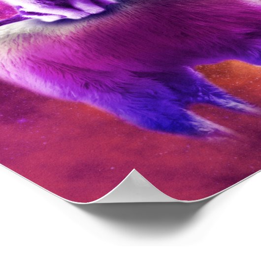 Kitty Cat Riding On Rainbow Llama In Space ポスター (角)