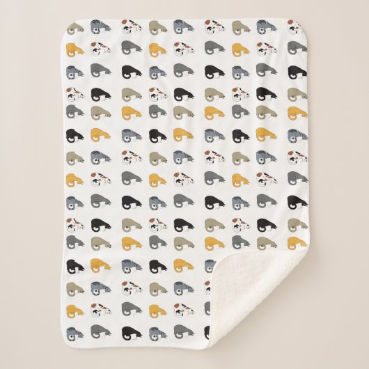 Kitty Cats Bowl シェルパブランケット (正面)