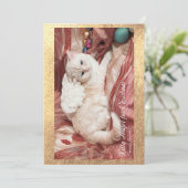 Kitty for Christmas 案内状 (スタンド正面)