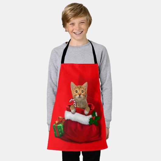 Kitty in a Christmas Bag エプロン (着用した状態)