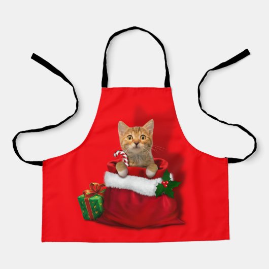 Kitty in a Christmas Bag エプロン (正面)