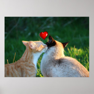kitty kiss ポスター