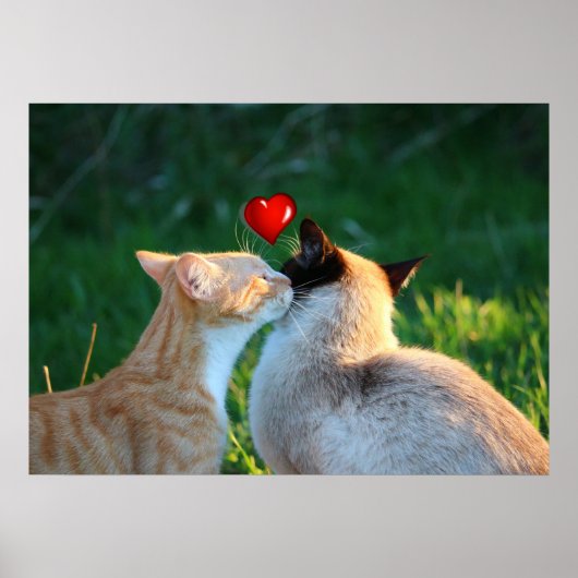 kitty kiss ポスター (正面)