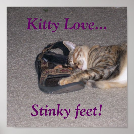 Kitty Love..., Stinky feet! ポスター (正面)
