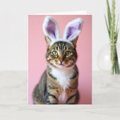 Kitty With Novelty Ears Card カード (正面)