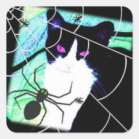 KittyCatSpiderWeb スクエアシール (正面)