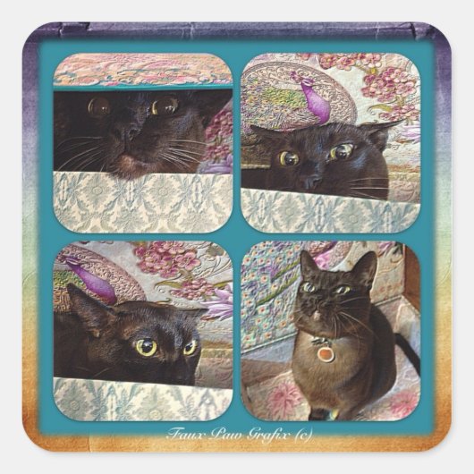 Kiwi in a Box、シリーズ1、4枚の画像 スクエアシール (正面)