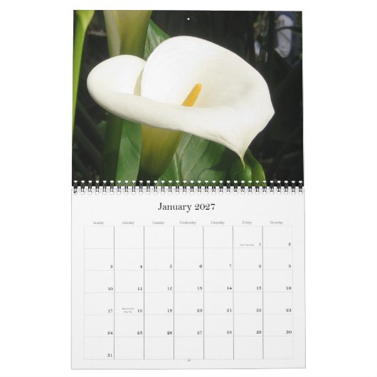 Kiyoshiのギャラリーの2012年の植物相のカレンダー カレンダー (1月 2027)