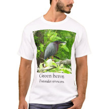 KK – グリーンヘロン