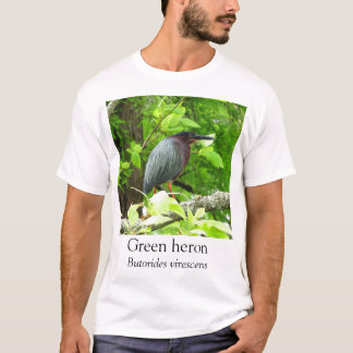 KK – グリーンヘロン Tシャツ