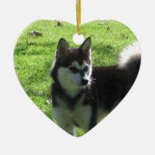 KleeアラスカのKai犬 セラミックオーナメント