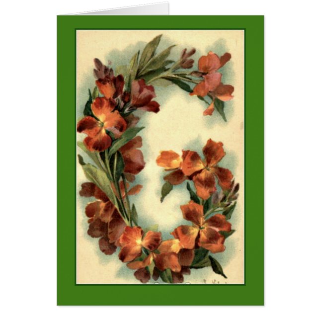 Kleinの花のアルファベットの手紙Gのオレンジのキンレンカ (正面)