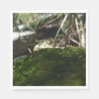 Kleine Mooswelt – Naturfotografie Serviette スタンダードランチョンナプキン