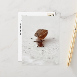 Kleine Reise – Schnecke auf hellem Grund ポストカード