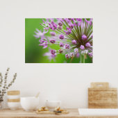 Kleine Sterne ポスター (キッチン)