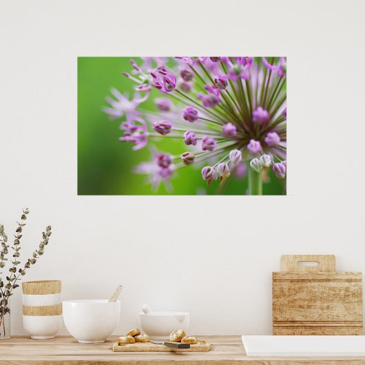 Kleine Sterne ポスター (キッチン)