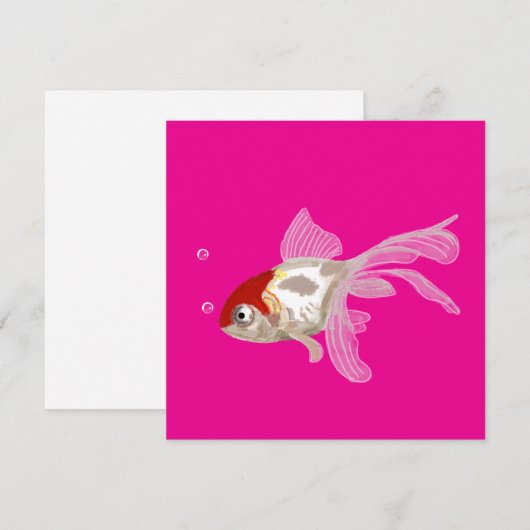 Kleiner Goldfisch -  (正面/裏面)