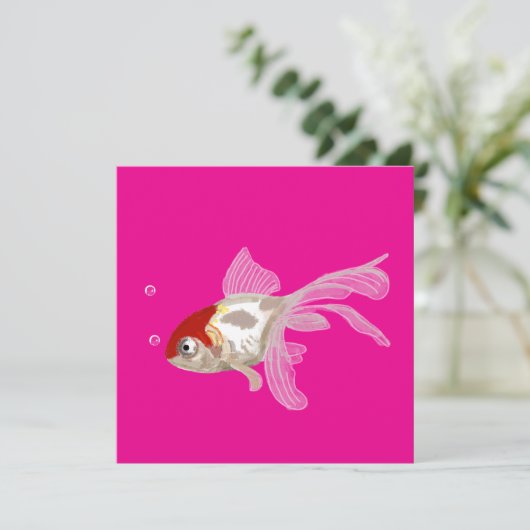 Kleiner Goldfisch -  (スタンド正面)