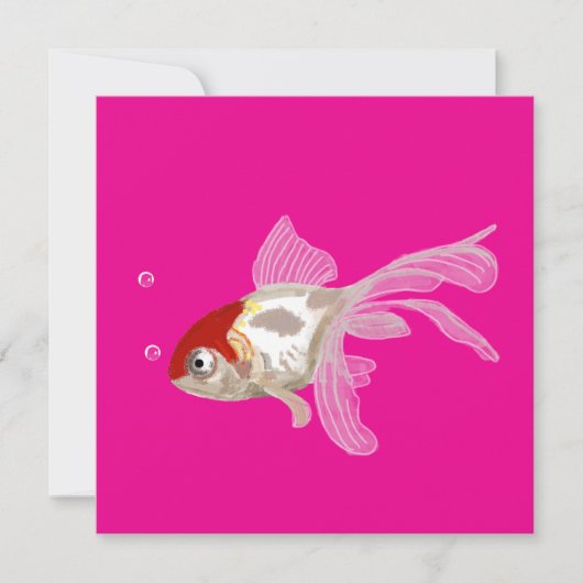 Kleiner Goldfisch -  (正面)