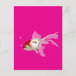 Kleiner Goldfisch -  ポストカード