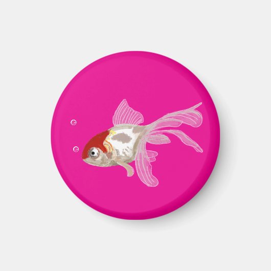 Kleiner Goldfisch -  マグネット (正面)
