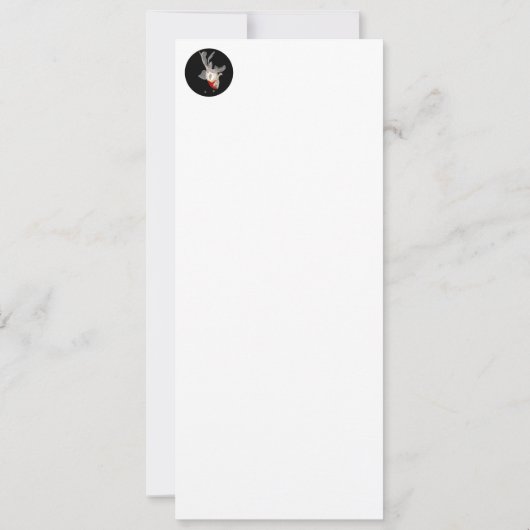 Kleiner Goldfisch -  招待状 (裏面)