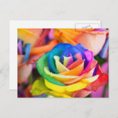 kleuren bloem ポストカード (正面/裏面)