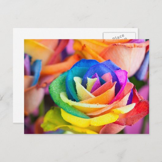 kleuren bloem ポストカード (正面/裏面)