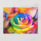 kleuren bloem ポストカード (正面)